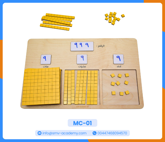 دورة حياة الكائنات 9 – Life Cycle puzzle 9